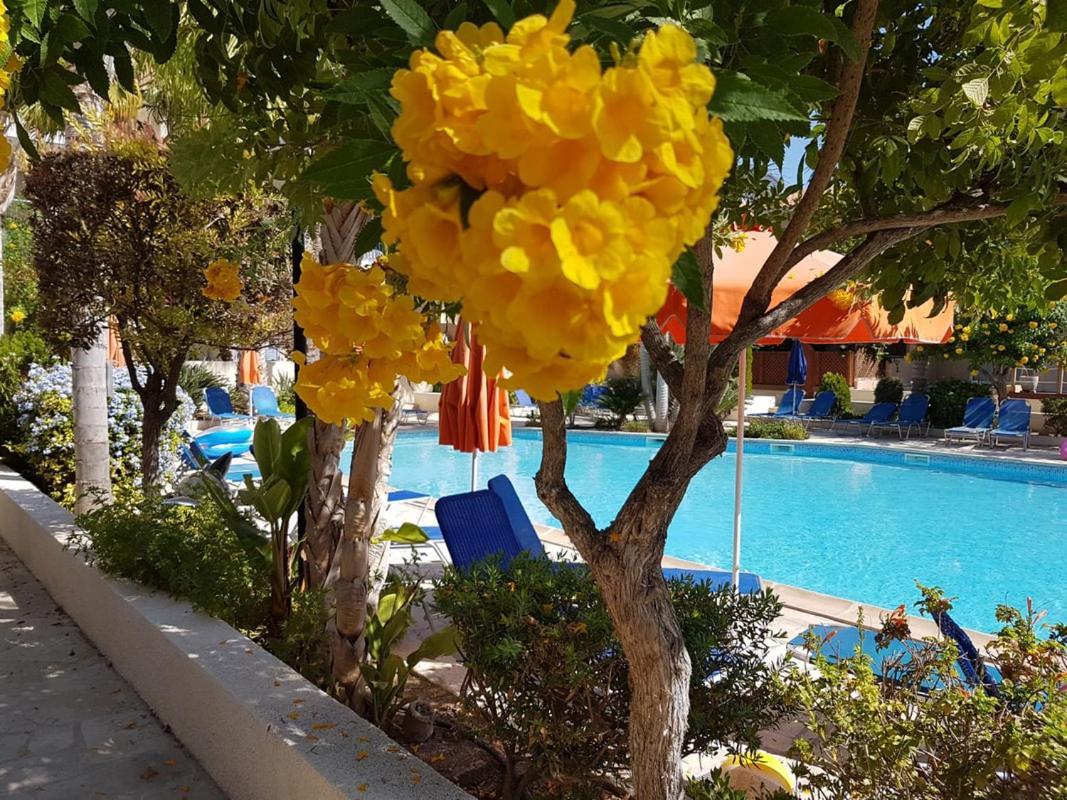 Villa Ilios In Kato Paphos Kültér fotó